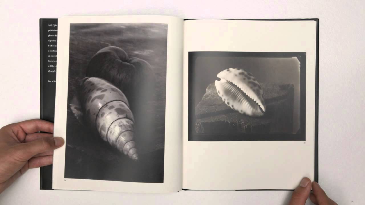 Josef Sudek / Torst Publishing House – Still Lifes