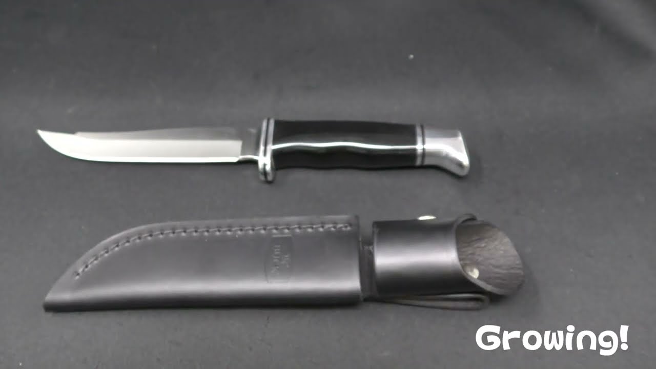 ナイフショップ グローイング！□BUCK【バック】ナイフ□ #105 パス