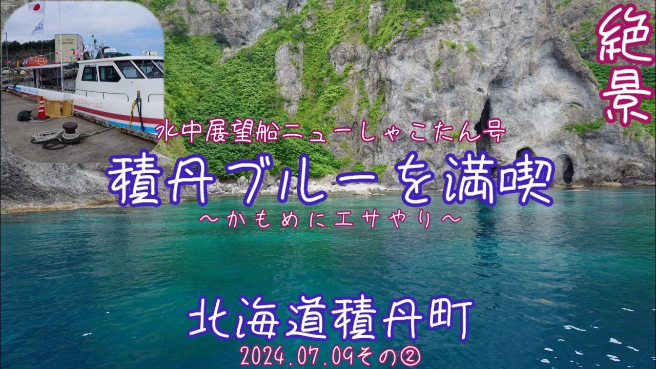 水中展望船ニューしゃこたん号】積丹ブルーとかもめにエサやり(2024.07