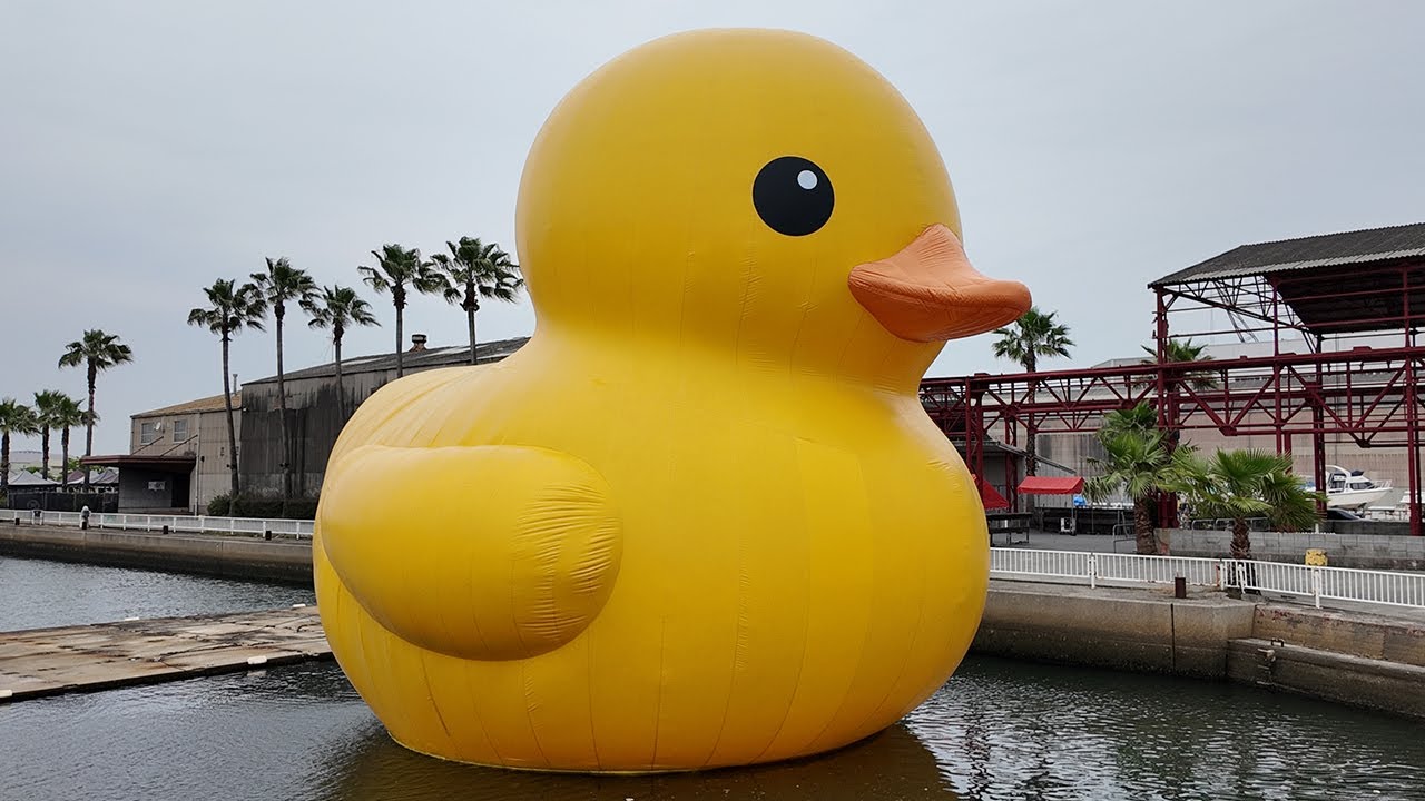 Special exhibition of giant rubber duck at Creative Center Osaka