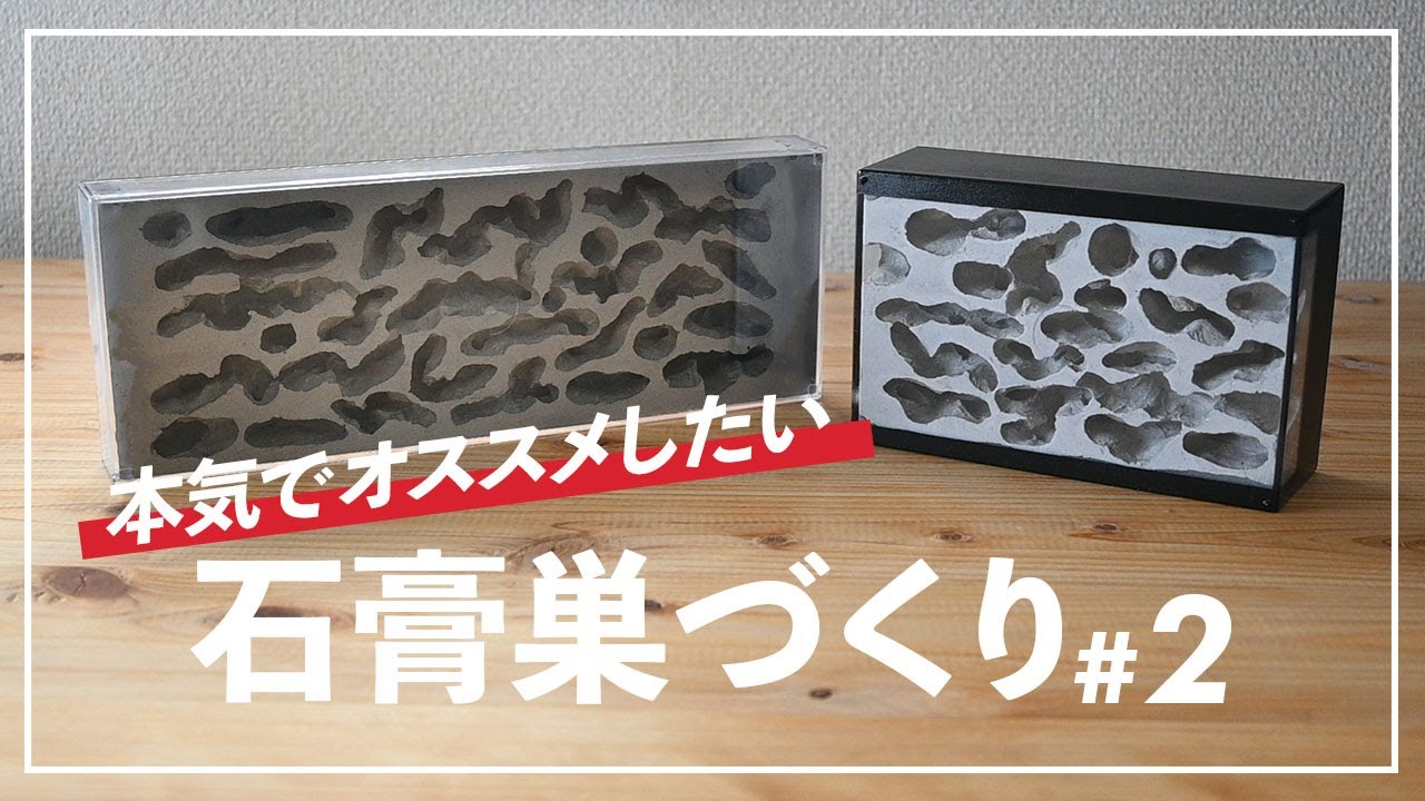 Ant keeping] How to make a vertical plaster nest # 2 Completed
