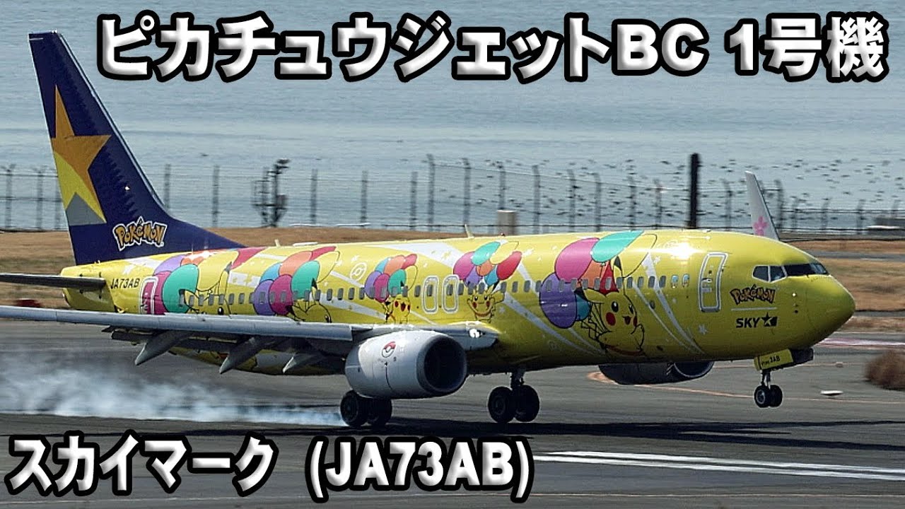 スカイマーク (JA73AB) ピカチュウジェットBC 1号機 Boeing737-800