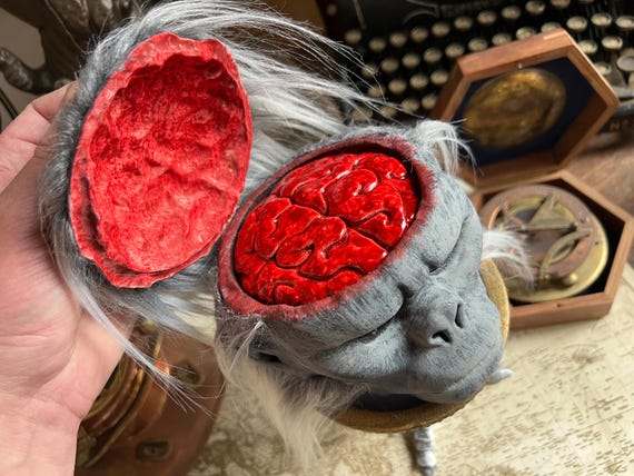 Chilled Monkey Brains With Cup - Etsy Norway