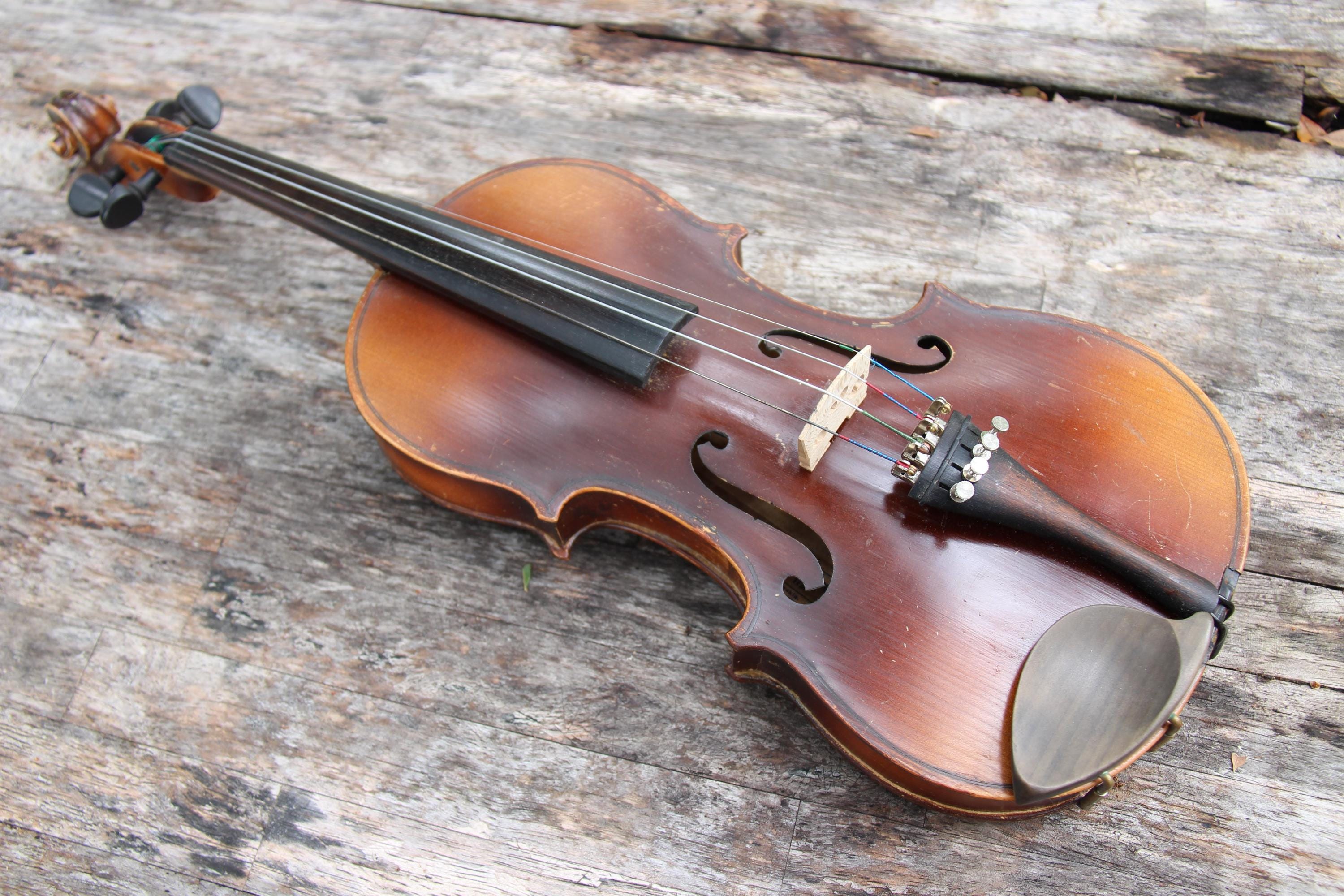 ライオンヘッド フィドル バイオリン 彫刻デザイン 練習用バイオリン 4