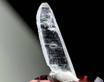 希少なニフォントバイト結晶 - メキシコ、チャルカス産の 2.56g 角柱状