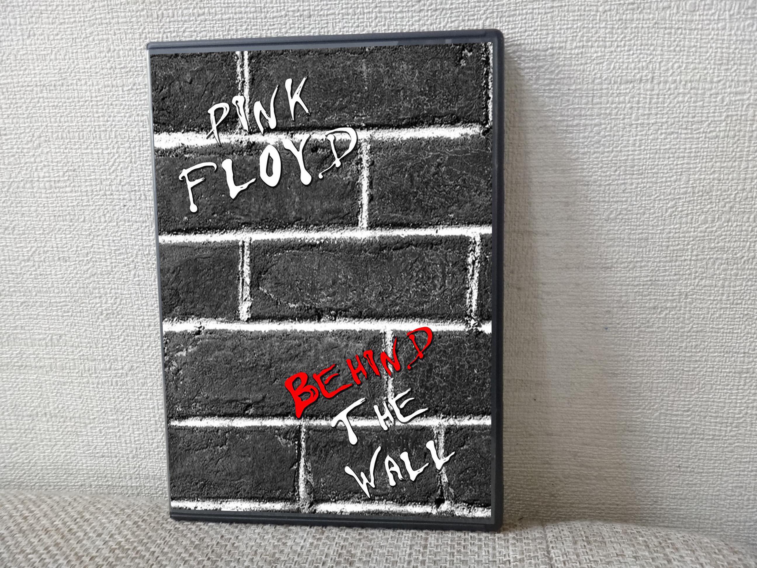 Pink Floyd the Wall Dvd - Etsy