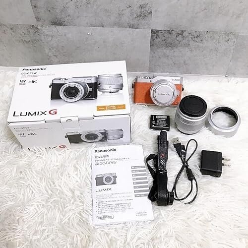 Panasonic Mirrorless interchangeable-lens camera Lumix GF9W-D