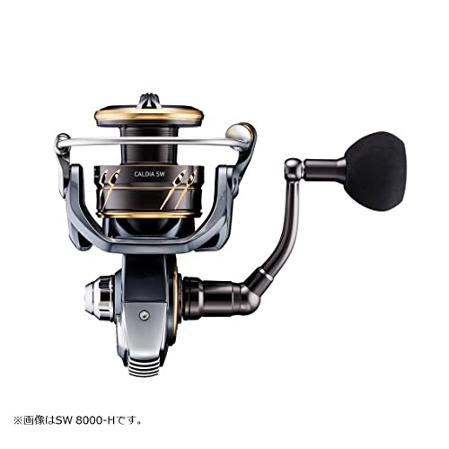Daiwa Caldia SW 4000D-CXH 22 Spinning Reel (2022 Model)NEW