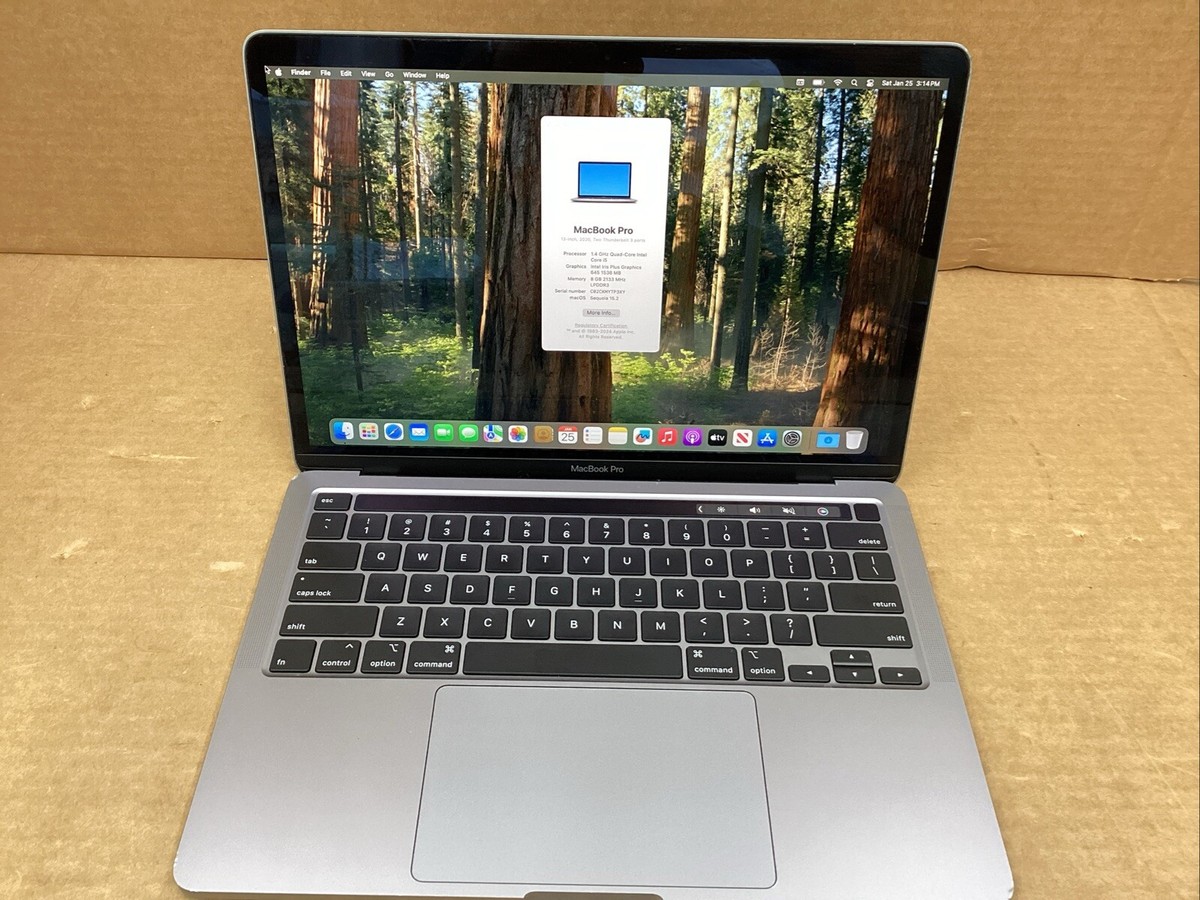 Apple MacBook Pro A2289 13