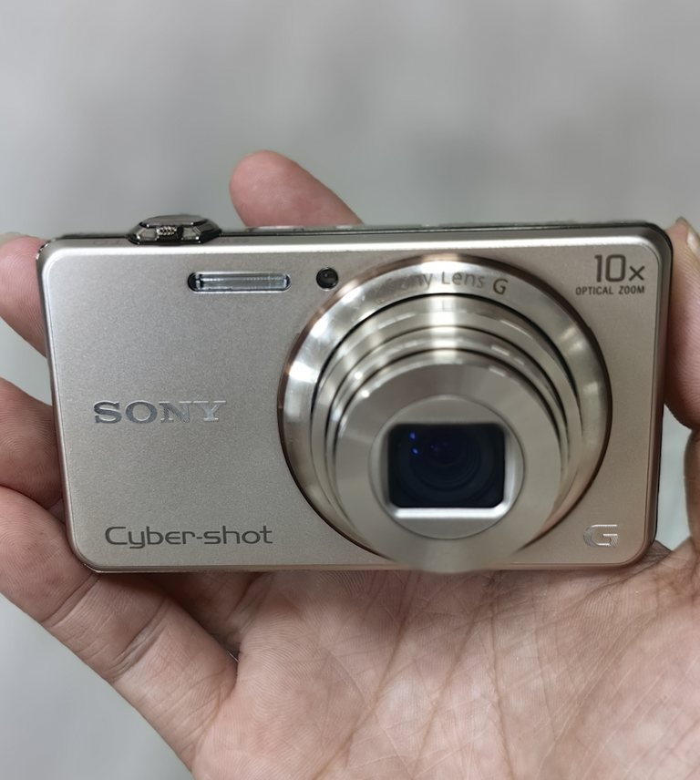 SONY Cyber-shot DSC-WX200 18.2 MP 10x Optical Zoom Digital Camera