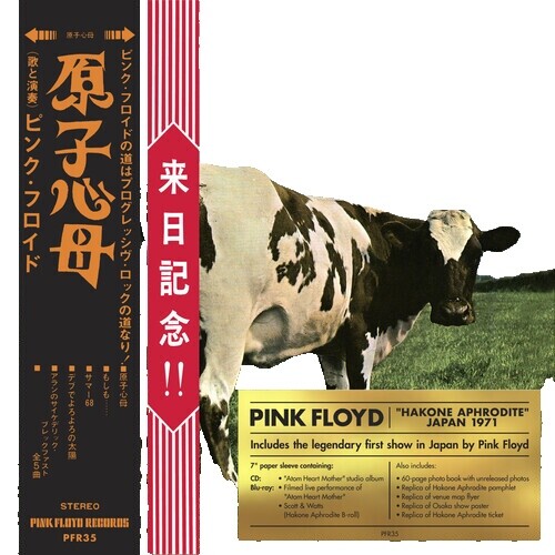 PINK FLOYD Ummagumma JAPAN CD CP28-5270•71 1987 s14066 | eBay