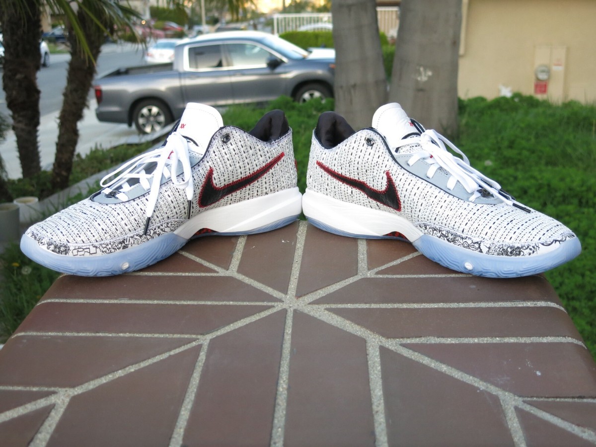 Nike LeBron XX 20 