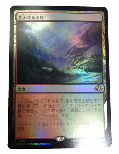 MTG Magic the Gathering Wooded Foothills (330/350) Onslaught LP | eBay