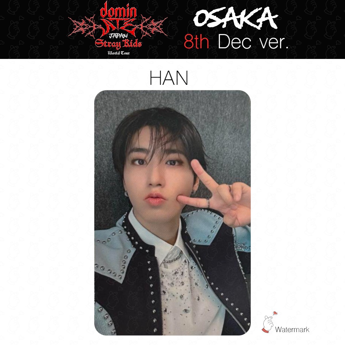 Stray Kids Tour dominATE JAPAN OSAKA Date limited photocard GIANT
