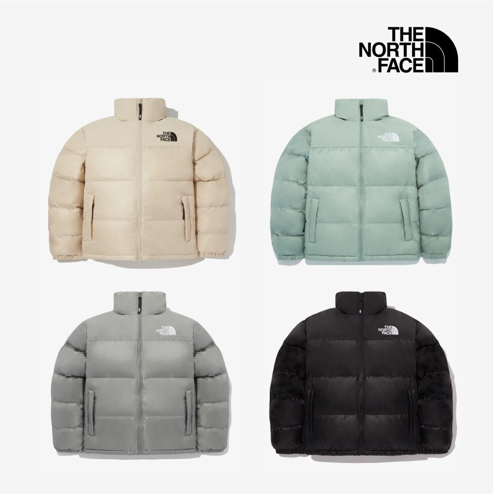 The North Face Korea M'S NUPTSE ON BALL JACKET NJ3NQ53B GRAY ASIAN