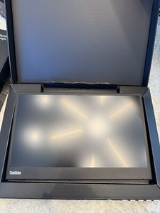 Lenovo Thinkvision M14 | eBay