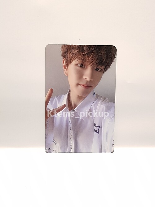 Stray Kids photocard album Yellow Wood Official Photo card
