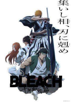 DVD Anime Bleach: Thousand-Year Blood War Part 1-3 Set (1-40 End