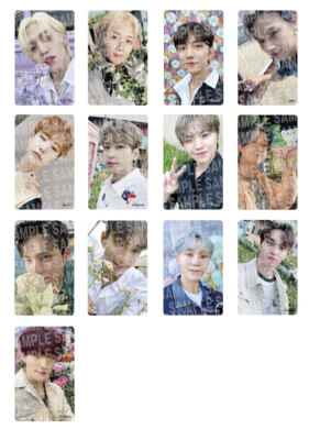 SEVENTEEN IN Your Choice HMV OFFICIAL PHOTO CARD JEONGHAN JOSHUA