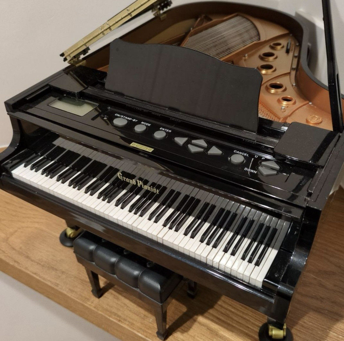 Genuine SEGA TOYS Black Grand Pianist 1/6 scale miniature grand