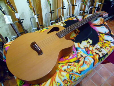 Vintage 2000s Tacoma C1C Chief Acoustic Guitar With Genuine Soft