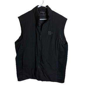 Arc`teryx Atom Sl Vest | eBay