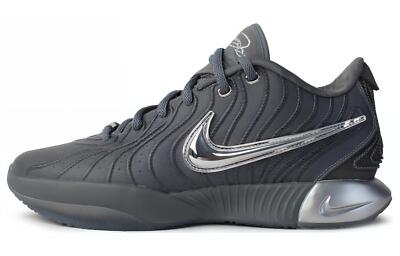 Nike LeBron 21 Cool Grey - HF5353-001 | eBay