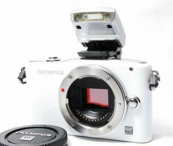 Olympus PEN mini E-PM1 mirrorless digital camera kit w. 14-42mm