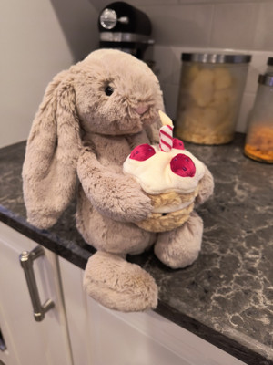 Jellycat Bashful Bunny Birthday Jellycat Beige Bunny Birthday FAST