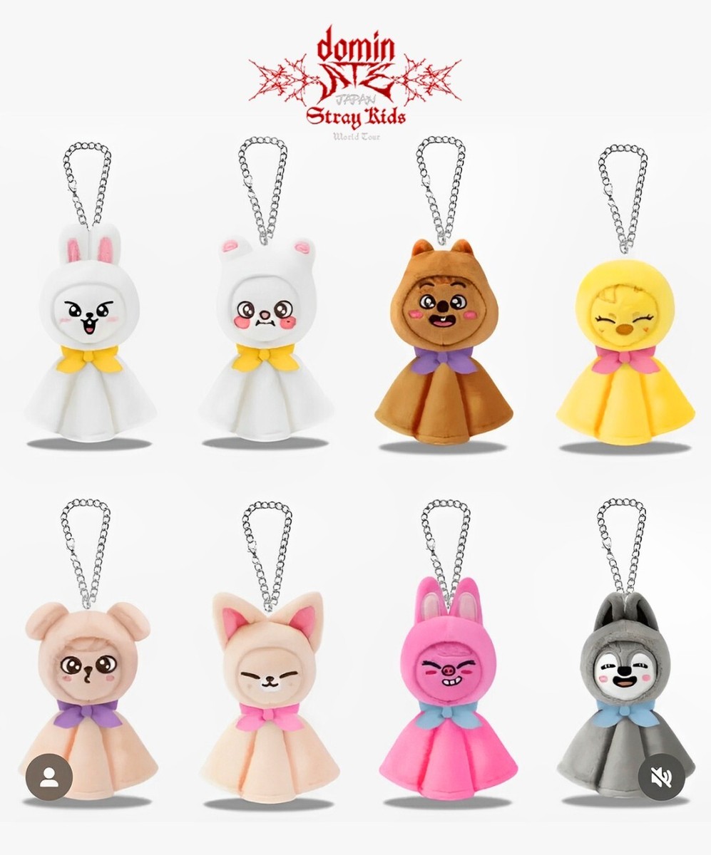Stray Kids World Tour dominATE JAPAN 2025 Official MD BAG CHARM | eBay