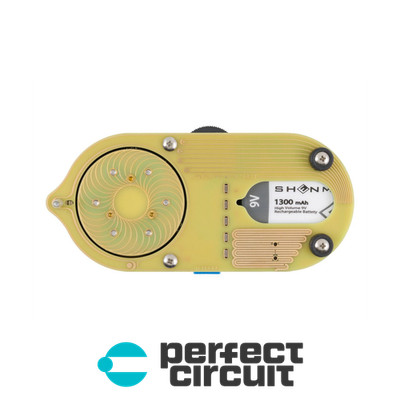 Landscape Ferrous Magnetic String Resonator EFFECTS - NEW