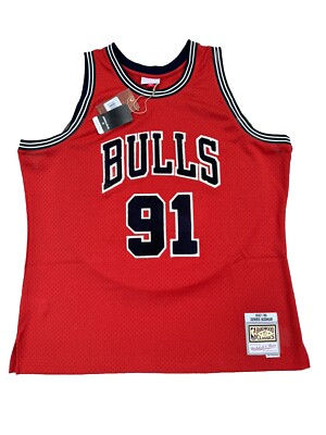 Dennis Rodman Chicago Bulls Mitchell & Ness Off-Court Swingman