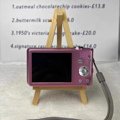 Panasonic LUMIX DMC-FH2/DMC-FS16 14.0MP CCD Digital Camera 100