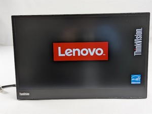 Lenovo Thinkvision M14 | eBay