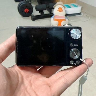 Samsung PL150 12.4MP Compact Digital Camera 5x Optical Zoom Selfie