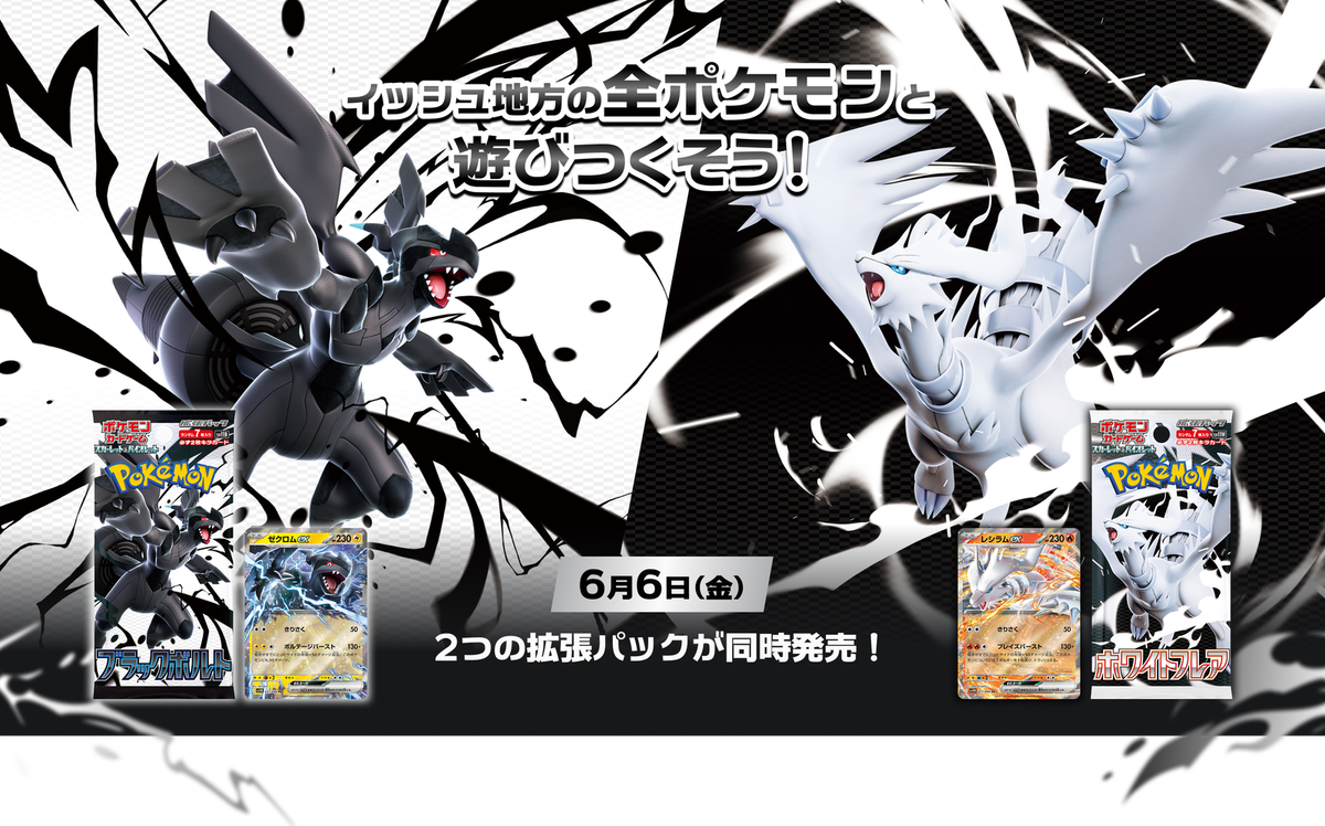 PSA 10 Zekrom ex BWR 174/086 Black Bolt sv11B Pokemon Card