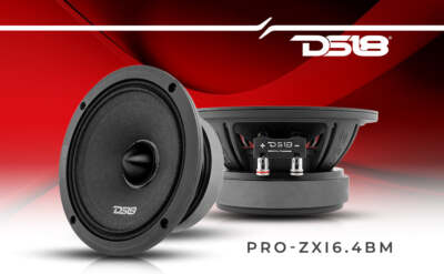 DS18 PRO-ZXI6.4BM 6.5