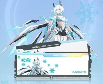 Asgard ROG STRIX RGB 32GB(16GB*2) DDR5 6400mhz support Z790 Z890