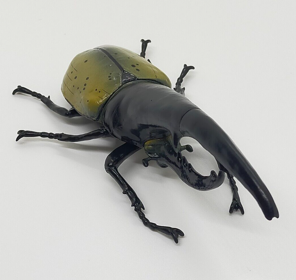 SO-TA Gashapon Dynastes Hercules Beetle 6.8in Realistic Insect