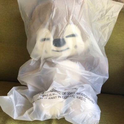 Stray Kids WolfChan SKZOO Teddy official merch fan meeting skz 5