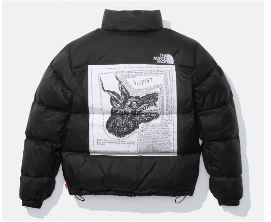 Supreme The North Face Nuptse Jacket 2024 FW Week9 Red Green Black
