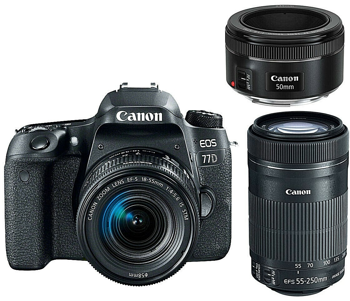 Canon EOS 77D 18-55 + 55-250 + 50 STM lens | eBay