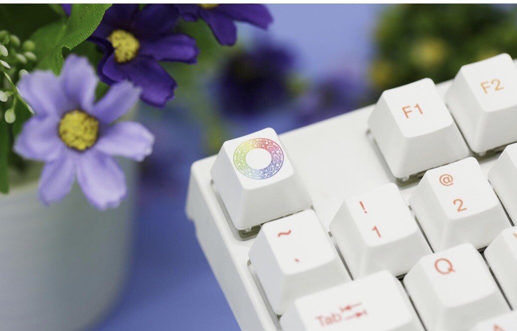 Varmilo VA87M- RBG/ C-Blue/ Rainbow 2 LED TKL Dye Sub PBT