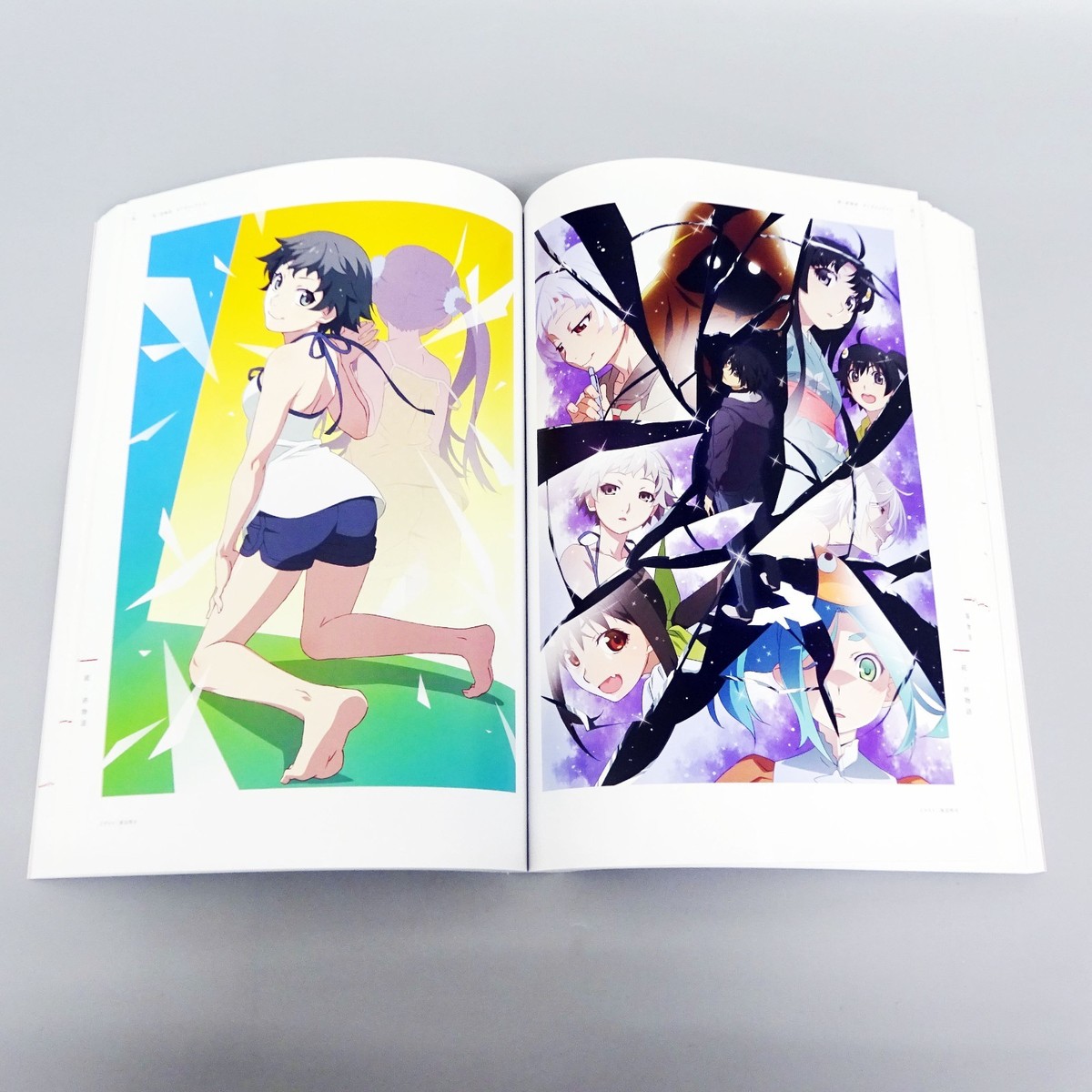 Bakemonogatari Animation 10th Anniversary Illustration Works Art