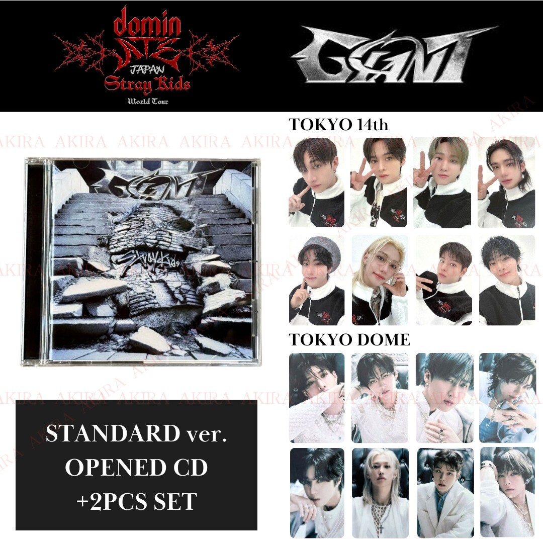 STRAY KIDS World Tour dominATE JAPAN TOKYO 14th GIANT PHOTO CARD