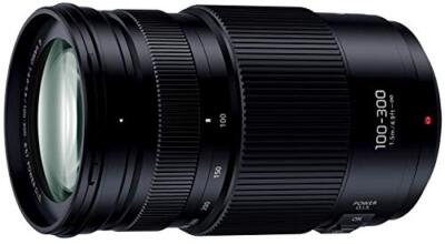 Panasonic Lumix G Vario 100-300mm F/4.0-5.6 II AF OIS Lens for