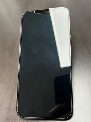 iPhone 12 Pro Max 256gb Graphite unlocked w/ Apple Silicon Case