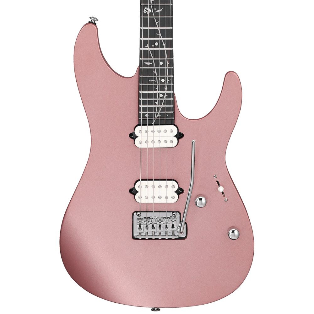 Ibanez TOD10 Tim Henson Signature - Metallic Mauve | eBay
