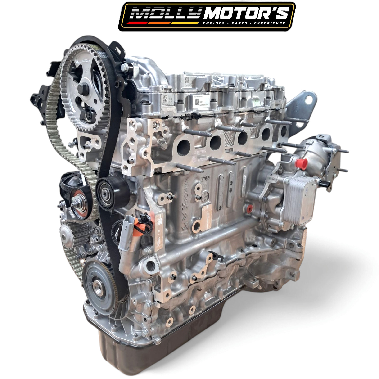 Original Motor for Ford 1.5 Duratorq TDCI / 1.5 Ecoblue KX6Q6006JA