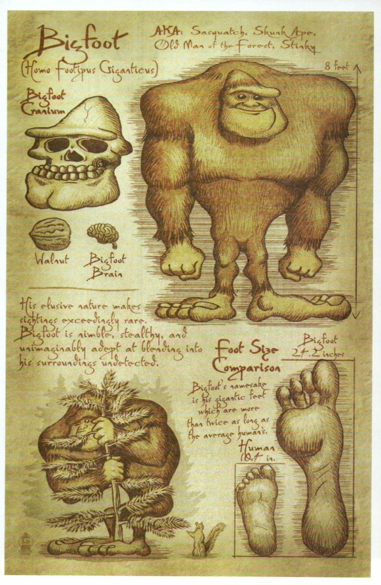 Bigfoot Information, Leonardo DaVinci Type Sketch, Sasquatch, Yeti
